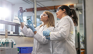 The Kömmerling Difference